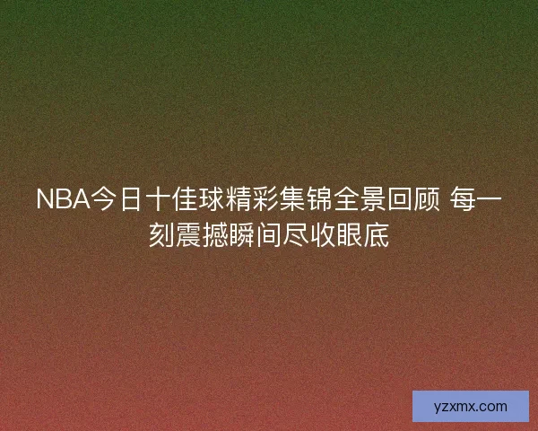 NBA今日十佳球精彩集锦全景回顾 每一刻震撼瞬间尽收眼底