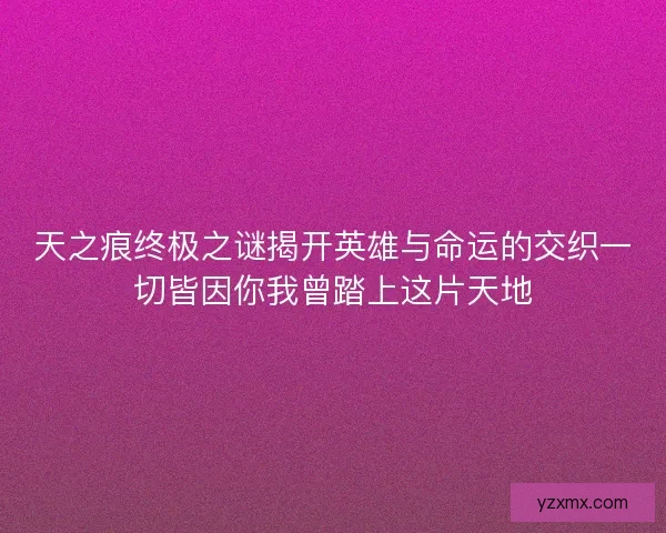 天之痕终极之谜揭开英雄与命运的交织一切皆因你我曾踏上这片天地
