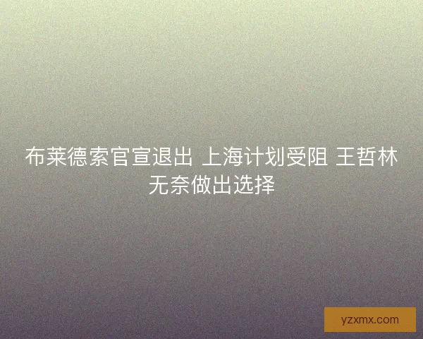 布莱德索官宣退出 上海计划受阻 王哲林无奈做出选择